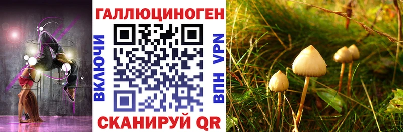 Галлюциногенные грибы Psilocybine cubensis  Междуреченск 